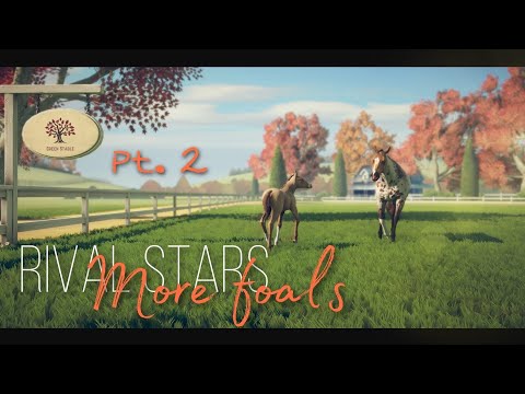 Видео: Rival Stars разведение / More foals / Больше жеребят / Part 2