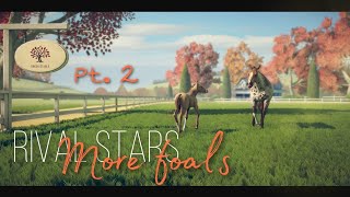 : Rival Stars  / More foals /   / Part 2
