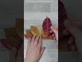 🦚ПАВЛИН🍁ОСЕННИЕ ПОДЕЛКИ из ПРИРОДНОГО МАТЕРИАЛА.Поделки своими руками.Diy crafts#shorts