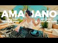 Amapiano Vibes Vol 13 Chillout Mix With Tropical RnB Hits Western Playlist