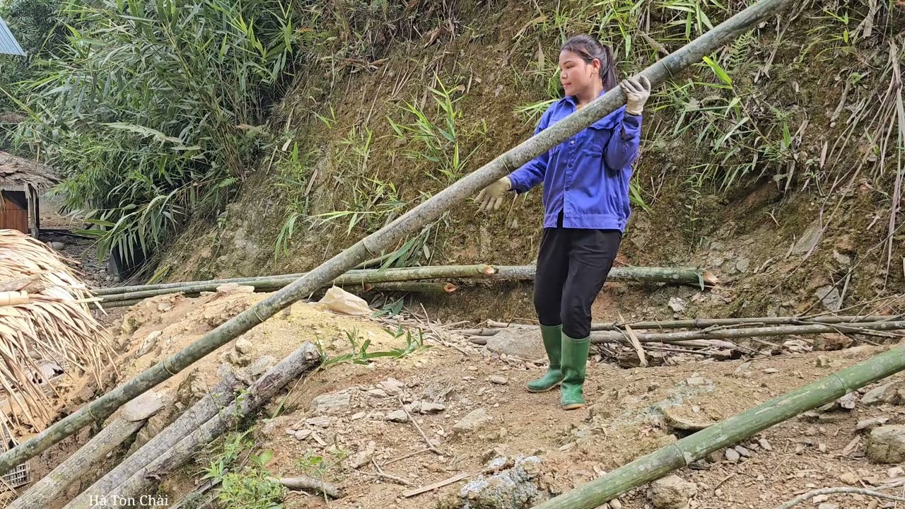 Married Life on the Farm – Building Shelters & Caring for Livestock