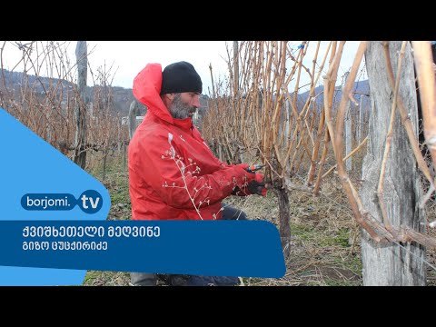 პანდემია მარანში