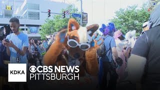 Anthrocon Expected To Generate Nearly 22 Million For Pittsburgh Businesses, Report Says