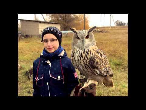 Экскурсия в заповедник 