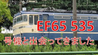 EF65 535号機と出会ってきました(東芝の府中事業所です)