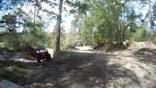 Rando Bertrix 2014