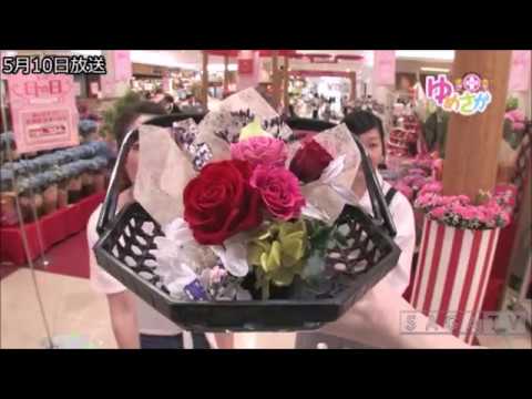 ゆめさがプラス 5月10日(木)放送