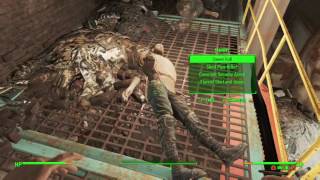 Fallout 4: Survival Mode Stealth Blitz No Guns Run! Race to Level 50! Day 17!