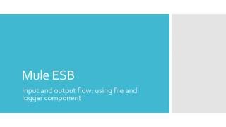 Mule ESB -  I/O flow using file and logger component