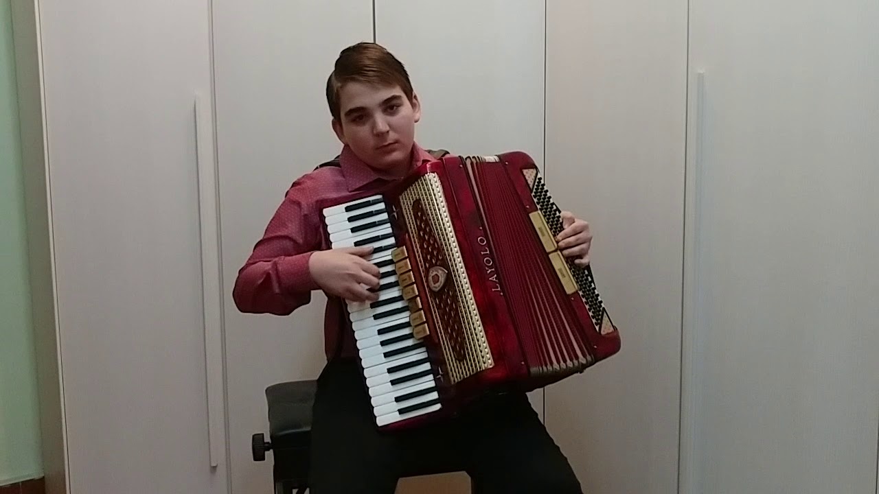 Ilie Lorenzo Stefan-Indifference accordion