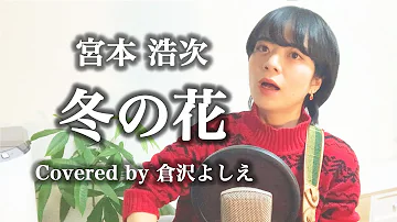 冬の花