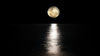 Relaxing Music for Stress Relief, 1 Hour, Sleep Music, Stress Relief: Moonlight Sonata