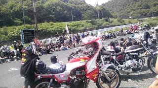 コール大会 優勝