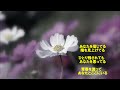 カラオケ仕様 ANNIVERSARY~無限にCALLING YOU~ 松任谷由実 オーケストラ調耳コピBGM(高音質・歌詞付)