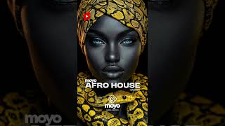 Moyo Afro House Organic moyo Series afrohouse organichouse  house keinemusik blackcoffee