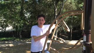 Park Physics (Sean Clark and Shirin Mavandad AP Physics)