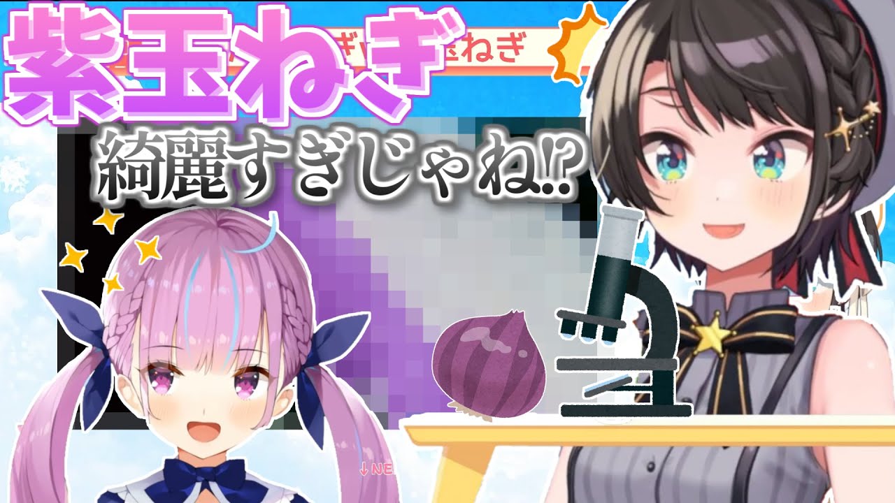 湊あくあの頭を顕微鏡で見て大興奮する大空スバル【切り抜き ホロライブ 大空スバル 湊あくあ 】