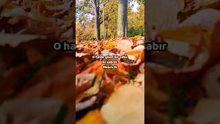 Onların söylediklerine sabret ve onlardan güzellikle ayrıl.~Müddesir sûresi~