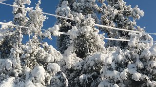 Download Lagu Zameen so gayi barf ki chadron me #latti #beautiful. #snow MP3