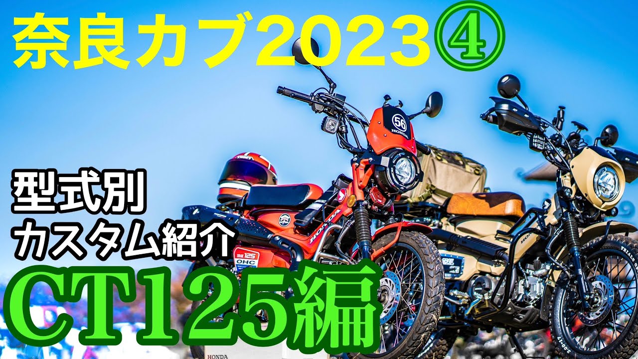Nara Cub 2023 ④] Must-see for Hunter Cub owners! Real recommended