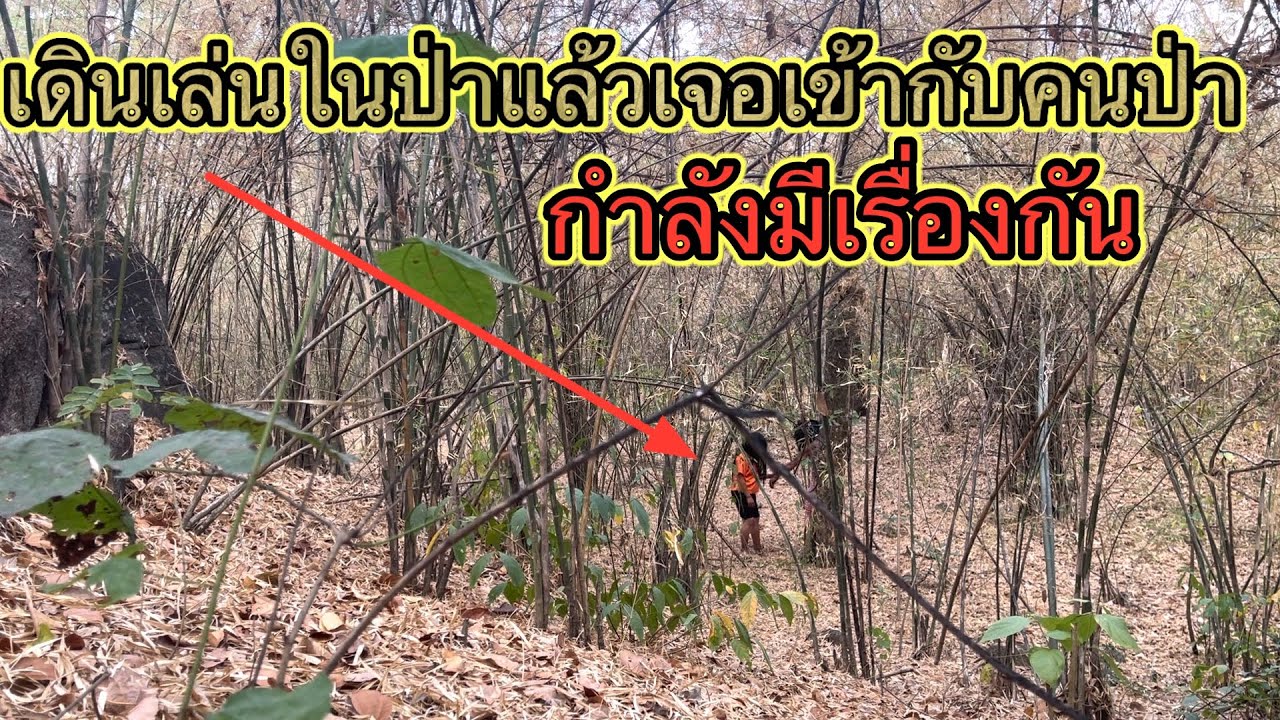 เดินเล่นในป่าแล้วเจอกับคนป่ากำลังมีเรื่องกัน 😱￼