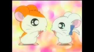 Hamtaro X Bijou