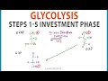 Glycolysis Investment Phase Quiz