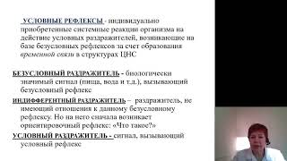 Нормальная физиология 4. Условные рефлексы и их торможение. Динамический стереотип