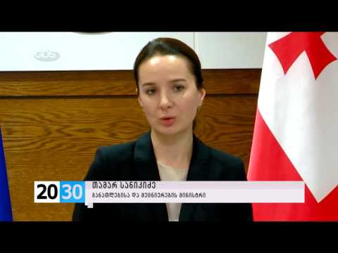 პედაგოგებისთვის ხელფასების გაზრდა /2030 (27.11.2015.)/