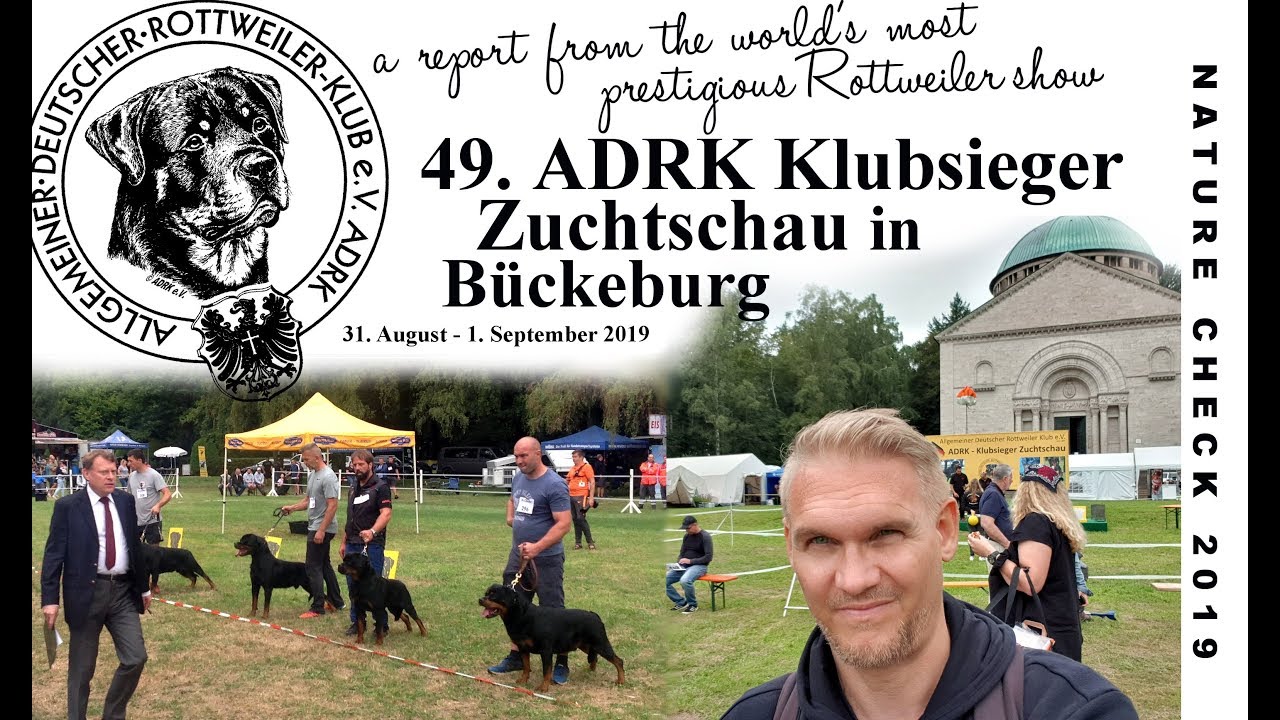 video phone beyonce mp3 ADRK Klubsieger Schau 2019 at Castle Bückeburg