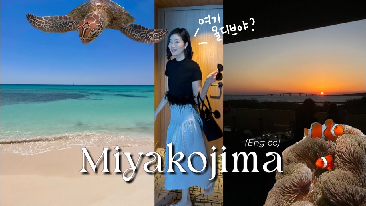 일본의 몰디브 미야코지마 여행｜힐튼호텔 · 프라이빗 비치 · 바다거북이 스노쿨링 · 카페 · 맛집