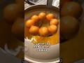 【350万回再生ポテトレシピ🍠】もう爆発しない!ポン・デ・さつまポティト!ハロウィン#shorts