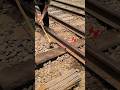 New Dog Pins are being installed on/#shorts #Railway #DogPin #RailwaySleeper #TrackMaintenance