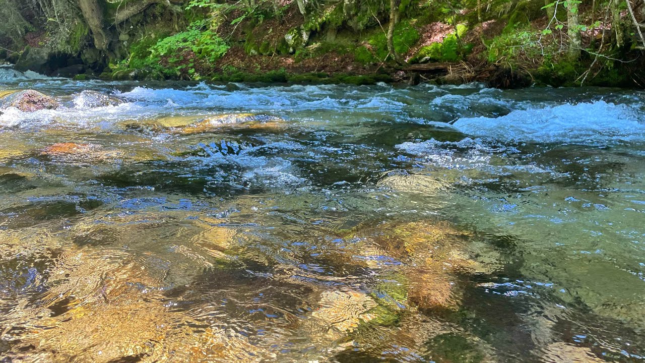 Native Brown Trout In Rila Mountain, Bulgaria - Tenkara Fishing