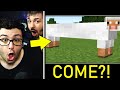 MARCY REAGISCE ai 99 MOMENTI IN CUI MINECRAFT E' STATO MALEDETTO!!