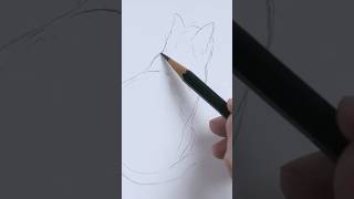 A cat in 2 minutes