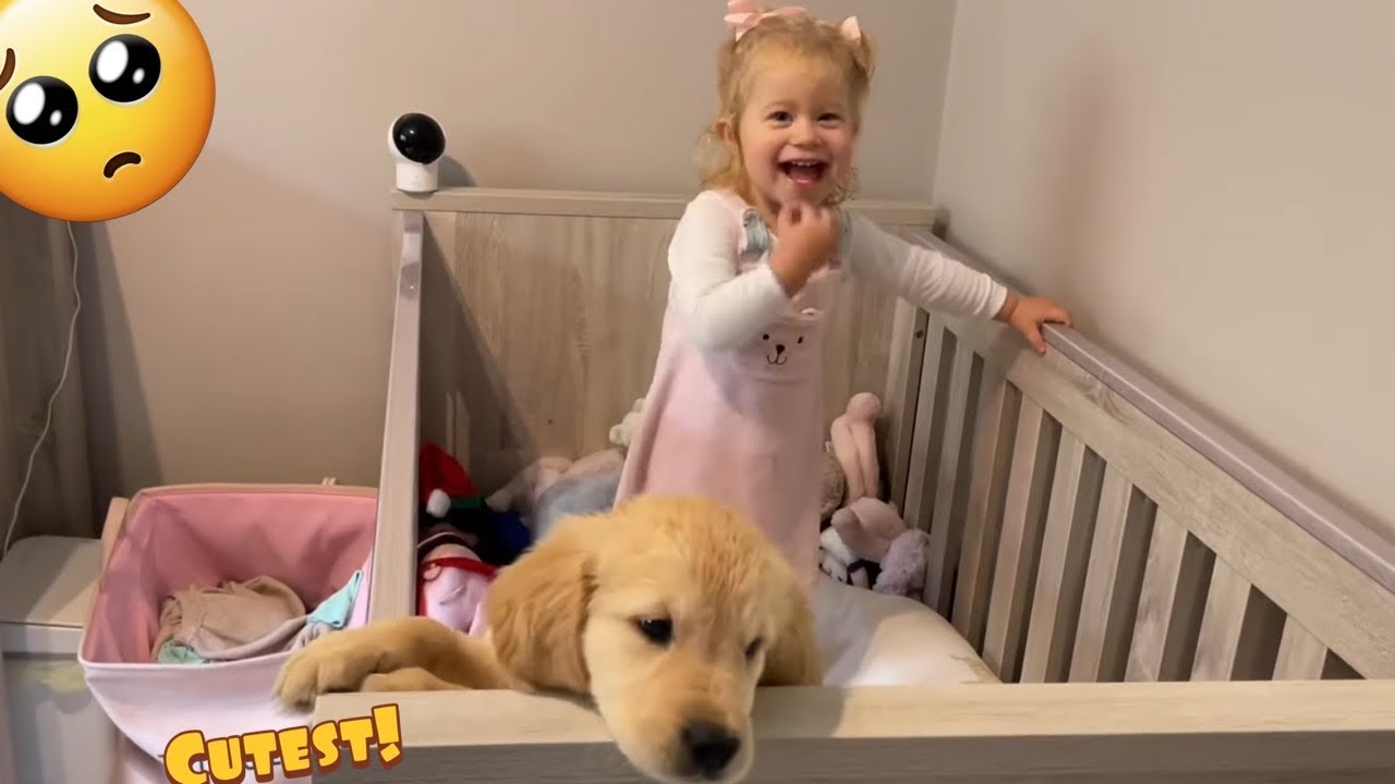 Baby Wakes Up To Golden Retriever Puppy! (Cutest Ever!!) - YouTube