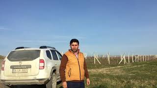 Kanal İstanbul Manzaralı Satılık Arsalar Memişoğlunda !