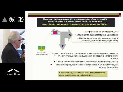 Видео: Приглашения на учебу с конвертами, изготовленными из переработанной бумаги, не увеличивают вероятность активных ответов или участия в немецкой национальной когорте