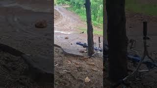 Esos pájaros se llaman zanate