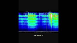 Schumann Resonance Live June 18 🌿 #theswissfrequency #schumannresonance #schumannresonanz #energy