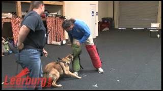 Puppy Bite Development with Michael Ellis