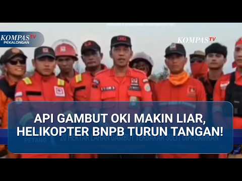 20 Hektare Gambut OKI Membara! BNPB Terjunkan Helikopter Water Bombing