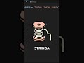 Python, ale szybko #3 - typy zmiennych, konwersja 📦