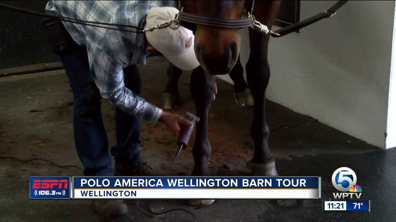 Polo America Wellington Barn Tour