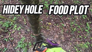 Creating a Hidey Hole Food Plot Day 1