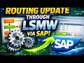 “Learn Routing Update in SAP Using LSMW – Step-by-Step Training”