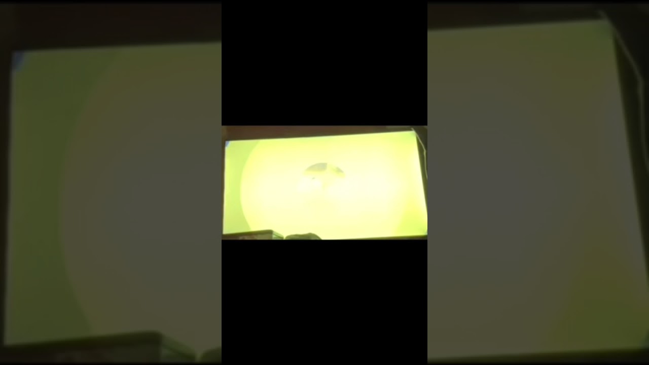 Party animals last stand