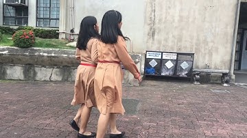 Physical Science/Risk Reduction (Major Performance Task)