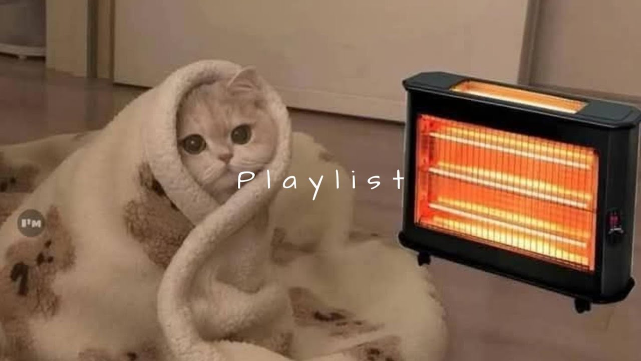 𝐏𝐥𝐚𝐲𝐥𝐢𝐬𝐭 집에서 틀어두기 딱 좋은 인스타 감성 노래들 🤍 | chill · mood